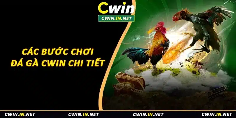 Các bước chơi đá gà Cwin chi tiết 